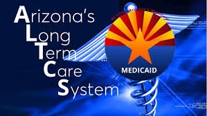 A picture of arizona 's long term care system.