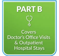 A green square with the words part b and a picture of a stethoscope.